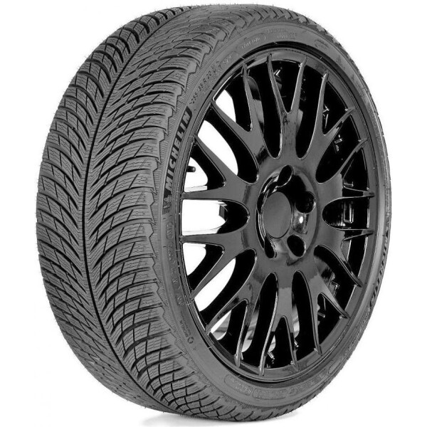 

Шини Michelin 205/55R16 91H Alpin 5 ZP
