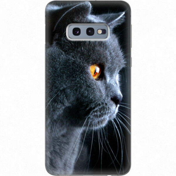 

Силиконовый чехол BoxFace Samsung G970 Galaxy S10e English cat (35855-up1346)