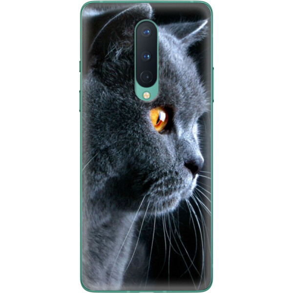 

Силиконовый чехол BoxFace OnePlus 8 English cat (39989-up1346)