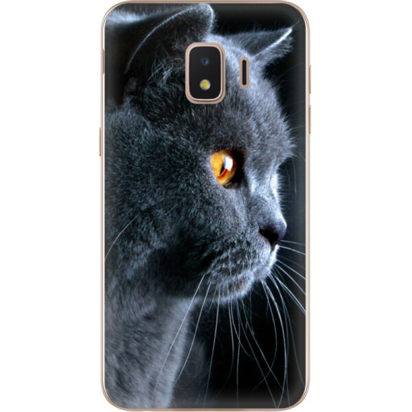 

Силиконовый чехол BoxFace Samsung J260 Galaxy J2 Core (35249-up1346)