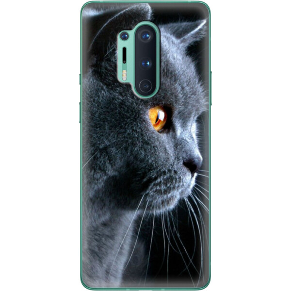 

Силиконовый чехол BoxFace OnePlus 8 Pro English cat (39994-up1346)