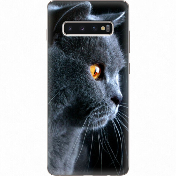 

Силиконовый чехол BoxFace Samsung G975 Galaxy S10 Plus English cat (35854-up1346)