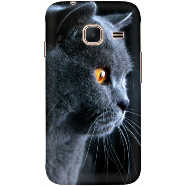 

Силиконовый чехол BoxFace Samsung J105 Galaxy J1 Mini Duos (24712-up1346)