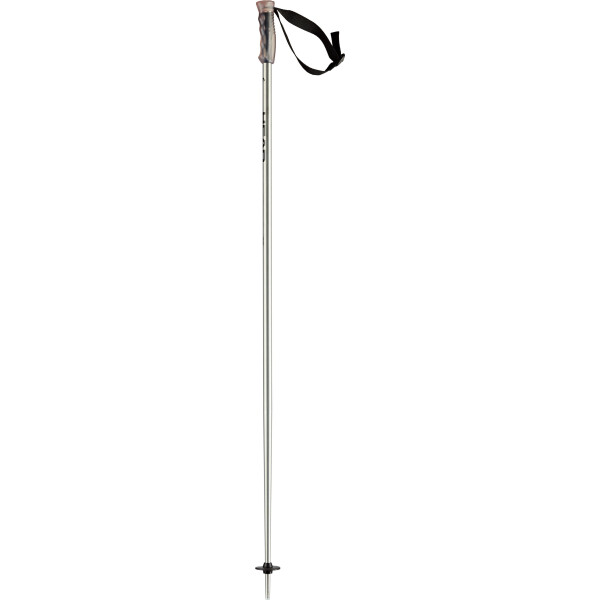 

Палки лыжные Head (2019) 381819 MULTI brushed aluminium black 120 (726424841967)