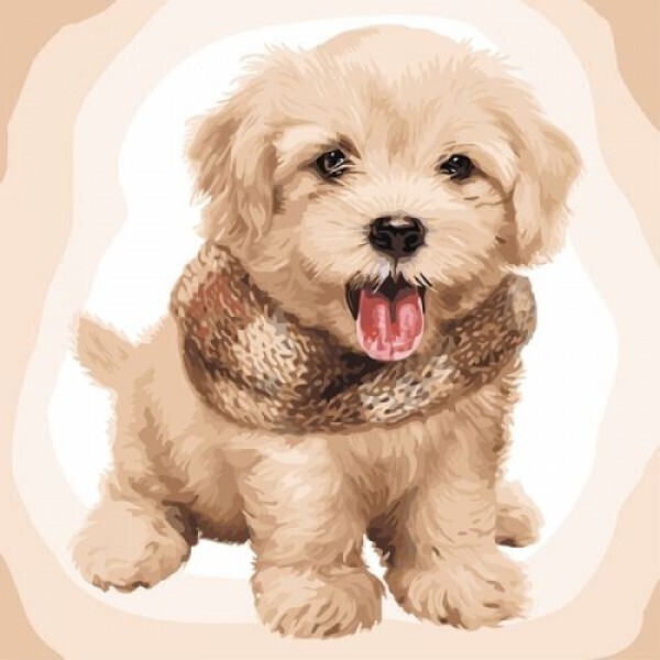 

Картина по номерам Идейка Пушистый щенок 40х40см, сложность 4, КНО4116