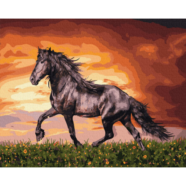 

Картина по номерам. Rainbow Art "Черный конь" GX34880-RA