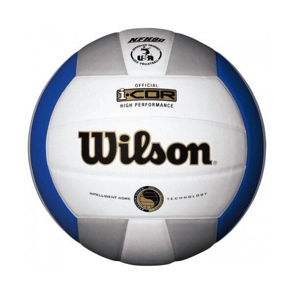 

Мяч волейбольный Wilson I-COR High Perfomance WTH7700XBLSI (Профессиональный мяч)