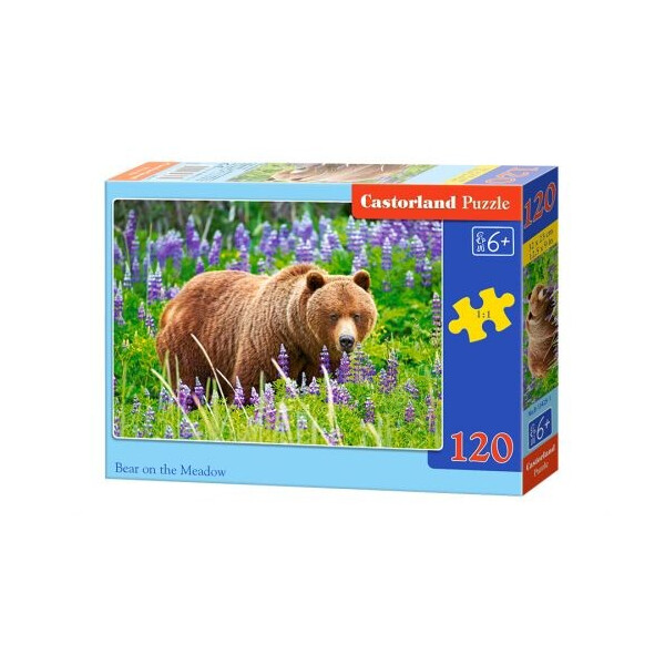

Пазл Castorland Медведь 120 элементов В-13425