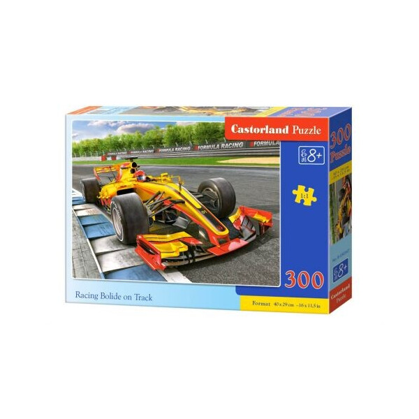 

Пазл Castorland Гоночная машина 300 элементов