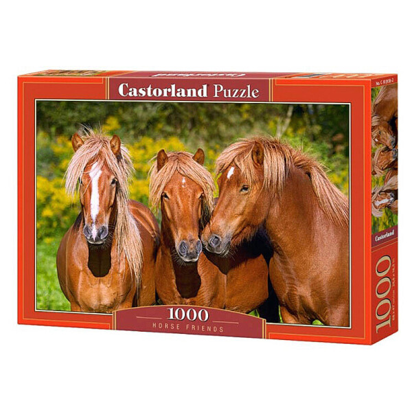 

Пазл Castorland Тройка лошадей 1000 элементов