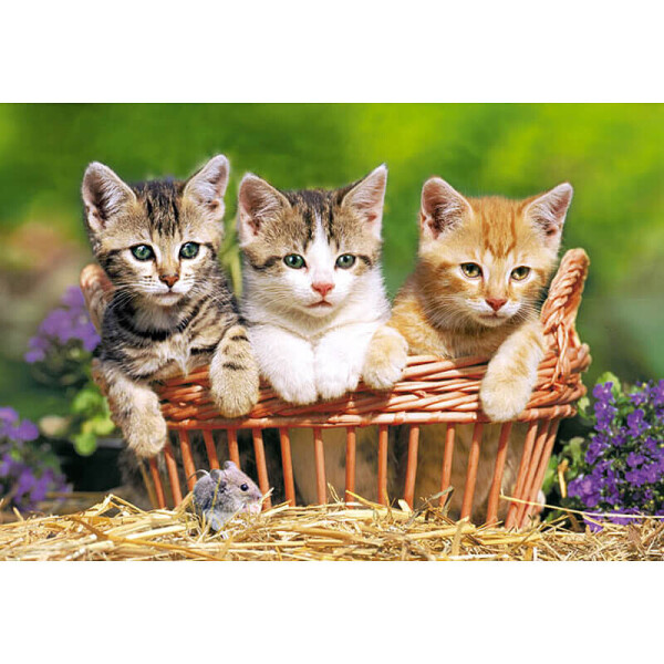 

Пазл Castorland Котята 500 элементов (73622)