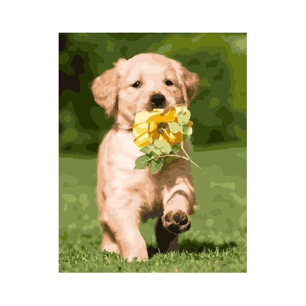 

Картина по номерам. Brushme "Щенок лабрадора" GX25580