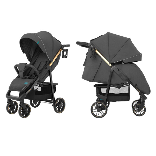 

Коляска прогулочная CARRELLO Echo CRL-8508/2 Midnight Gray +дождевик L /1/ MOQ