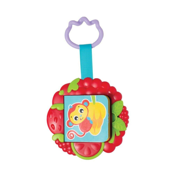 

Игрушка прорезыватель Playgro Книжка (17037)