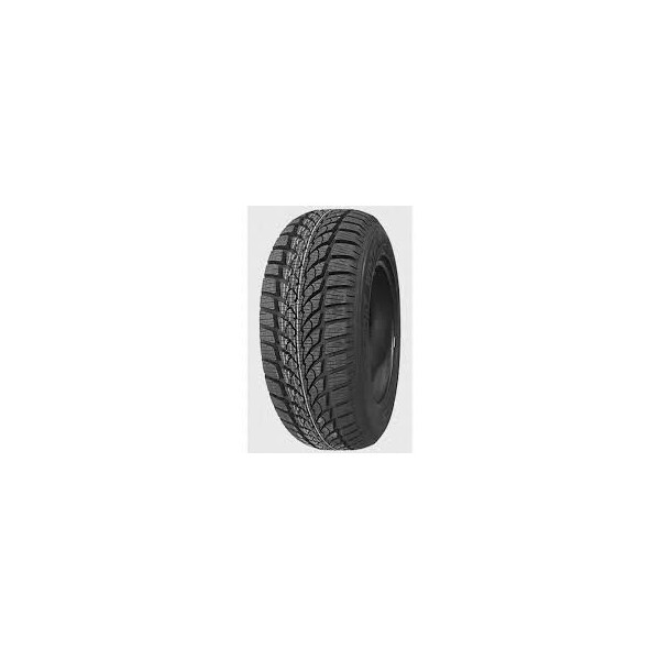 

Diplomat Winter HP 205/60 R16 96H