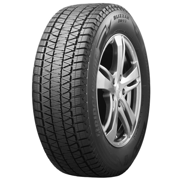 

Bridgestone Blizzak DM-V3 235/55 R20 102T