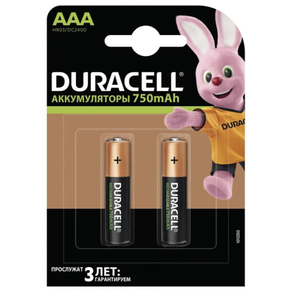

Аккумулятор Duracell AAA HR03 750mAh * 2 (5000394038769 / 81472315)