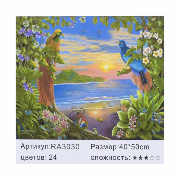 

Картина по номерам RA 3030 (30) 40х50см