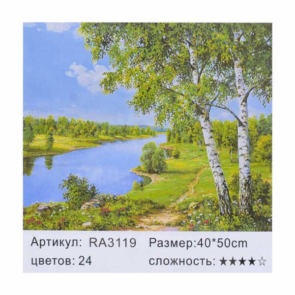 

Картина по номерам RA 3119 (30) 40х50см