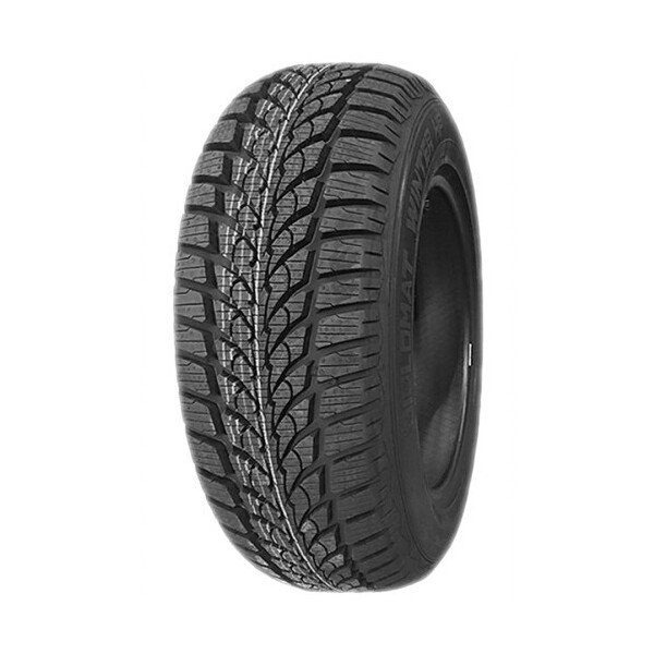 

DIPLOMAT Winter HP 195/65R15 91H