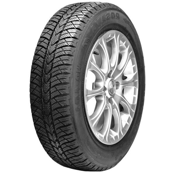 

Зимняя шина ROSAVA WQ-101 205/65R15 94T