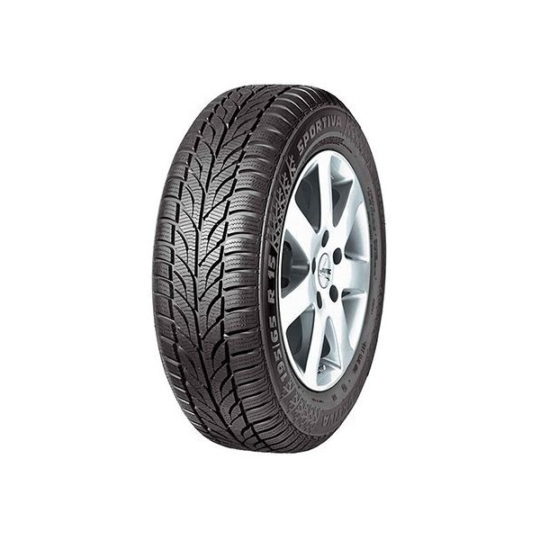 

Зимняя шина PAXARO Winter 225/45R17 91H
