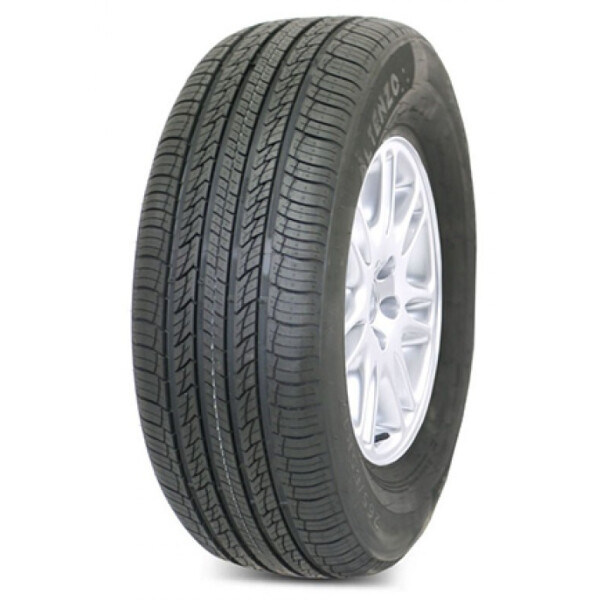 

Летняя шина ALTENZO Sports Navigator 295/35R21 107V