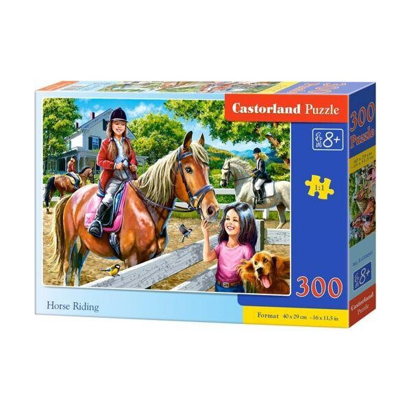 

Пазлы Прогулка на лошади, 300 деталей B-030095