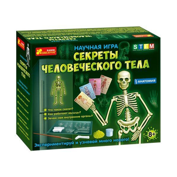 

Научная игра Скелет человека (рус) 12115017Р