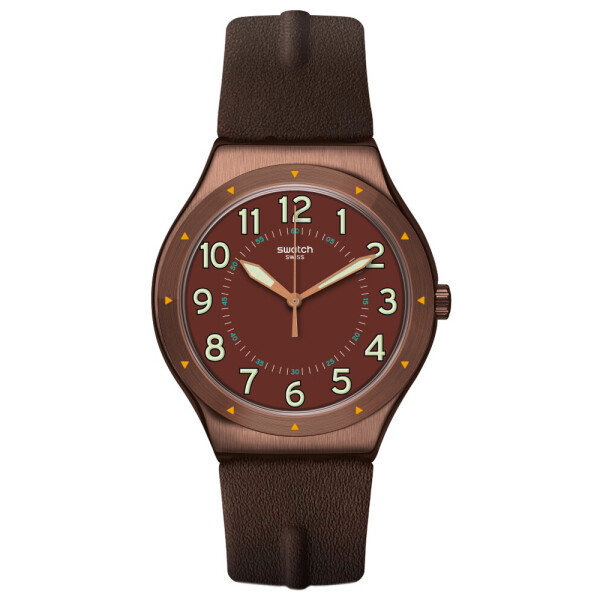 

Мужские часы Swatch YWC100