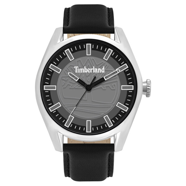 

Мужские часы Timberland TBL.16005JYS-13