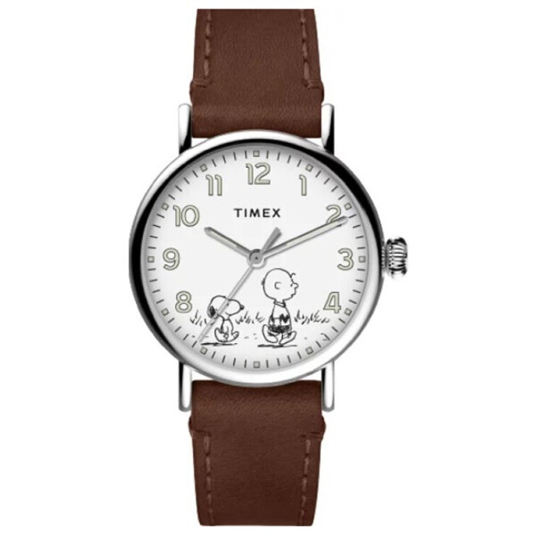 

Мужские часы Timex TW2U71000