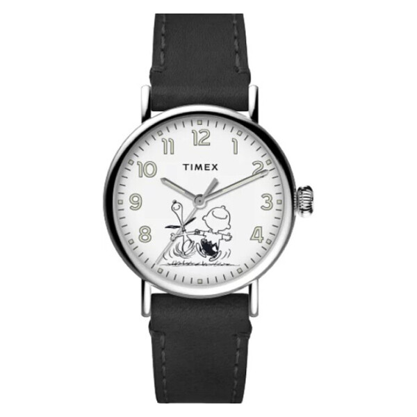 

Мужские часы Timex TW2U71100