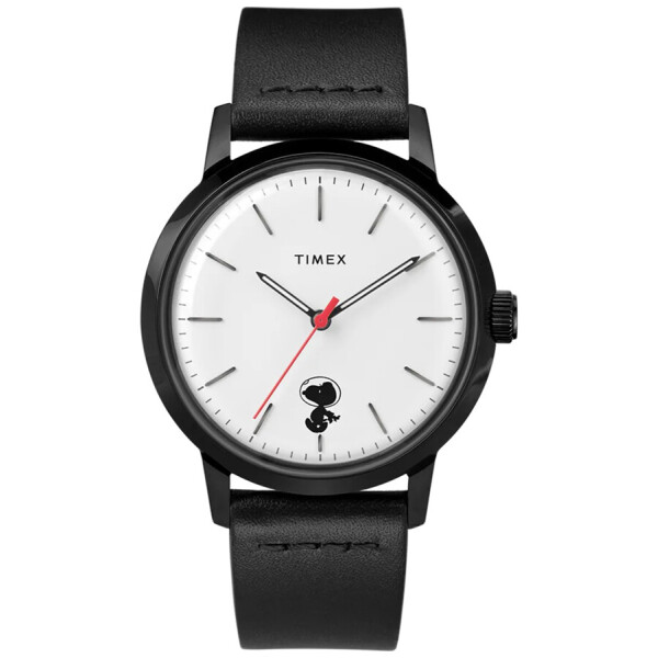 

Мужские часы Timex TW2U12600