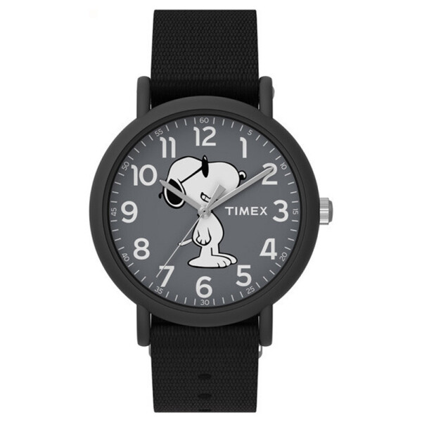 

Часы Timex TW2T65700
