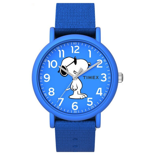 

Часы Timex TW2T65800