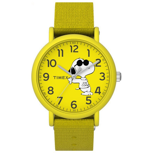 

Часы Timex TW2T65900