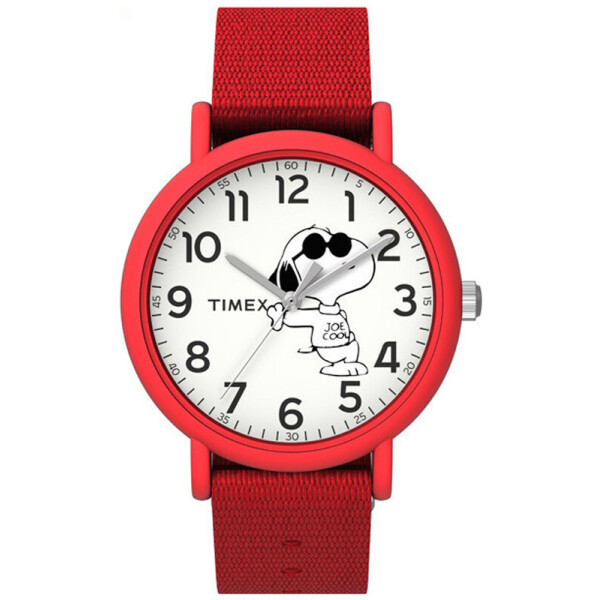 

Часы Timex TW2T66000