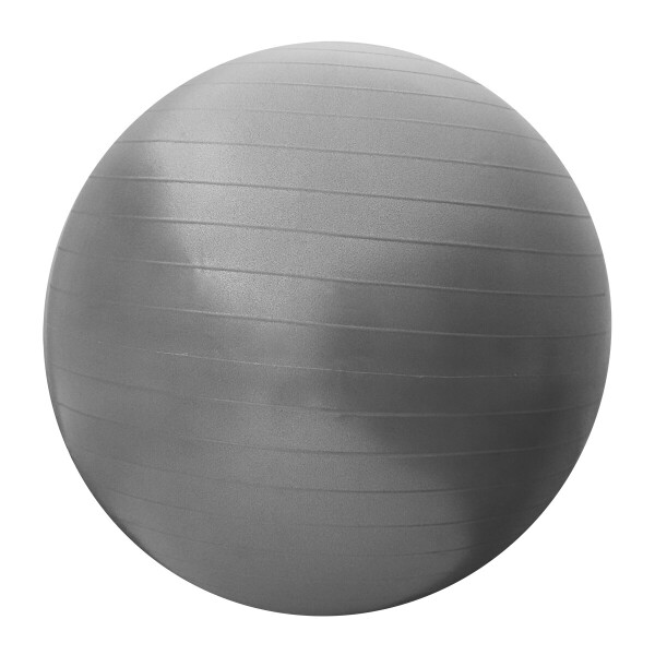 

Мяч для фитнеса (фитбол) SportVida Anti-Burst SV-HK0288 Grey, 65 см