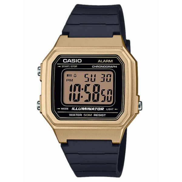 

Часы Casio W-217HM-9AVEF Classic Collection 38mm 5ATM