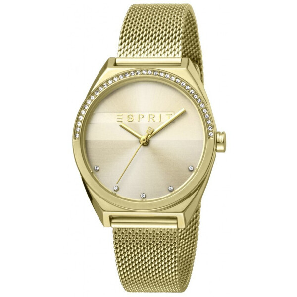 

Часы Esprit ES1L057M0055