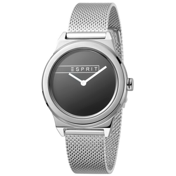 

Часы Esprit ES1L019M0065