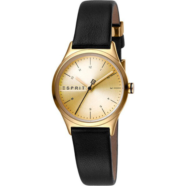 

Часы Esprit ES1L052L0025