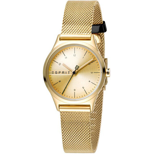 

Часы Esprit ES1L052M0065