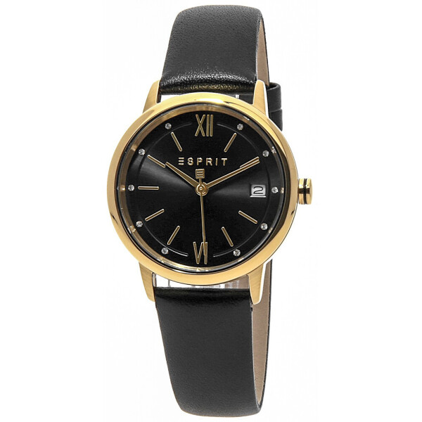 

Часы Esprit ES1L181L0045