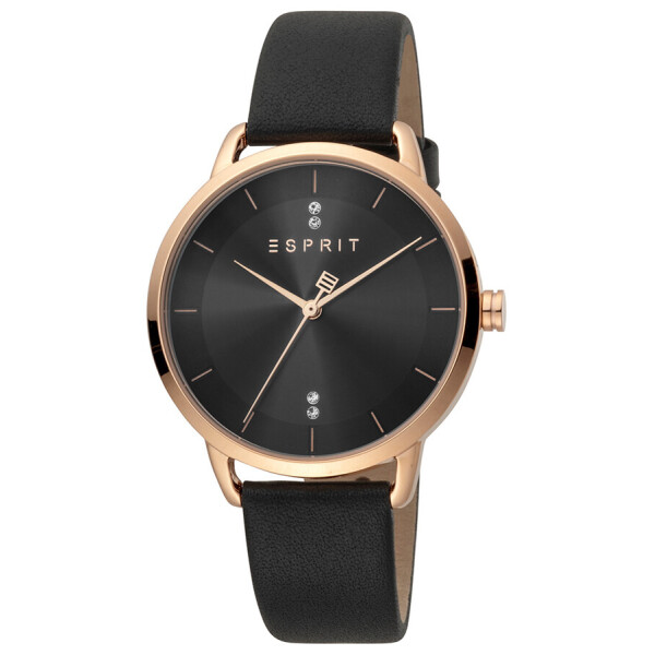 

Часы Esprit ES1L215L0055