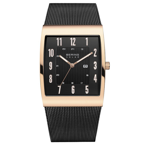 

Мужские часы Bering 16433-166