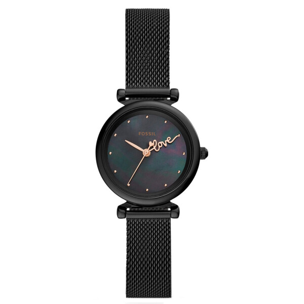 

Часы Fossil ES4829