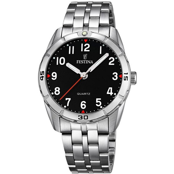 

Часы Festina F16907-3