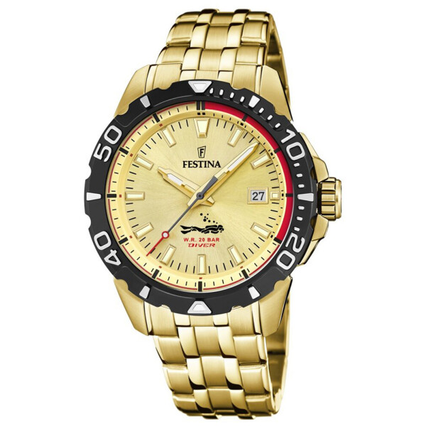

Часы Festina F20500-1